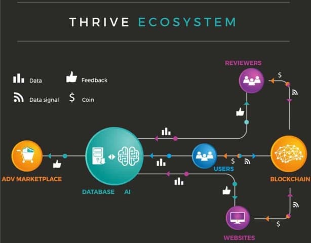 Thrive Ecosystem