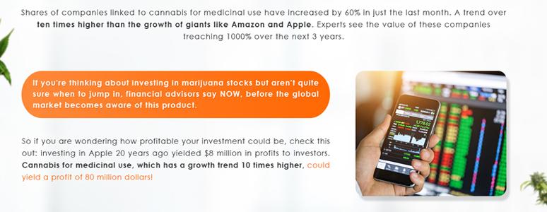 Shares of companies linked to cannabis for medicinal use have increased by 60% in just the last month.
