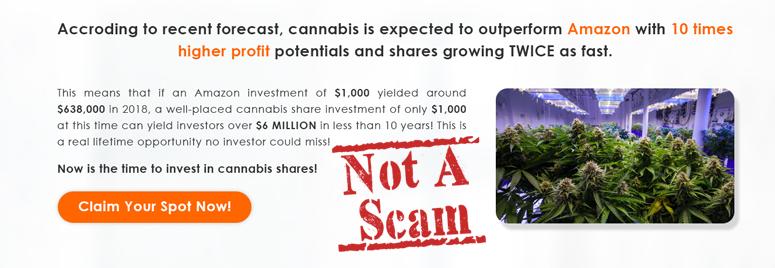 There is No Cannabis Trader Scam