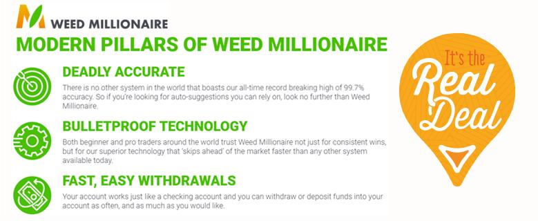 Weed Millionaire Scam – or The Real Deal?