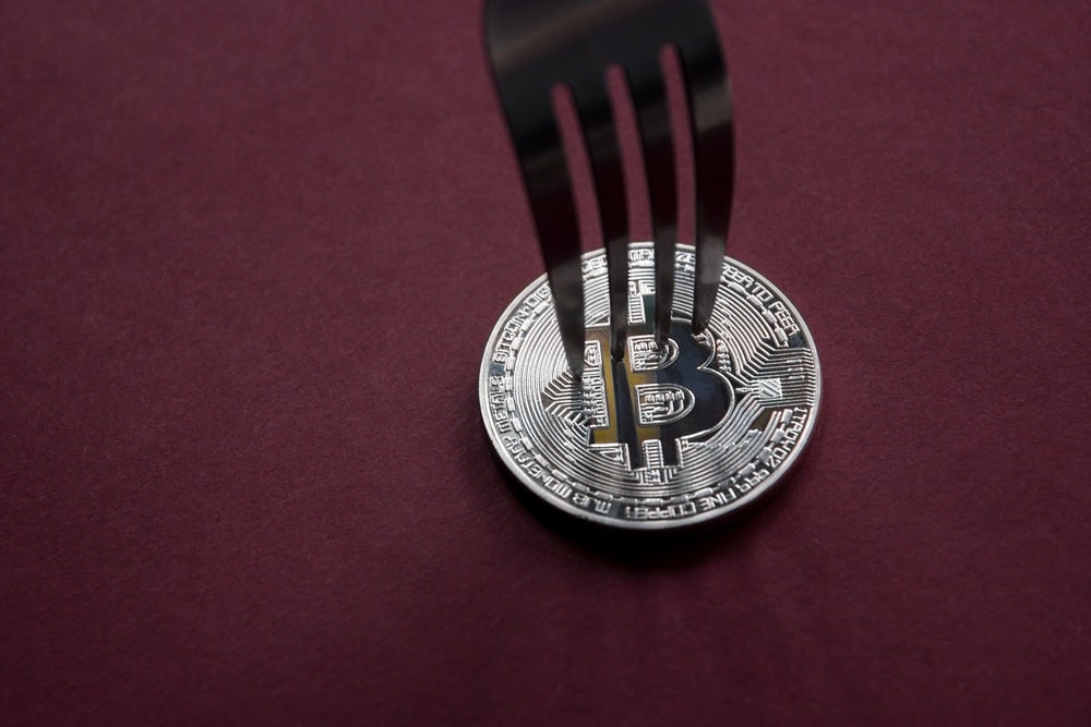 blockchain forks