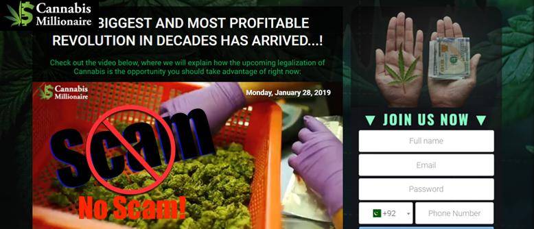 Is There Really a Cannabis Millionaire Scam?