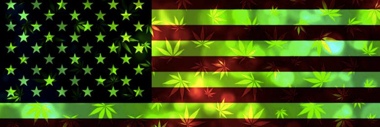 Cannabis-Millionär Legal