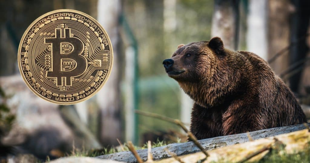 Crypto Bears
