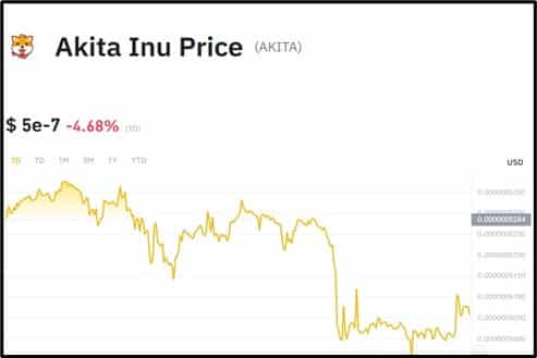 Akita Inu Price chart