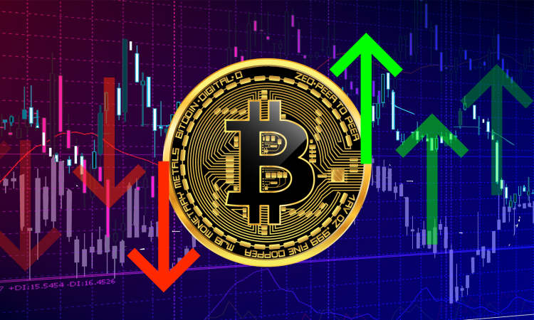 The Crypto Market Is Rallying As The Week Wraps Up