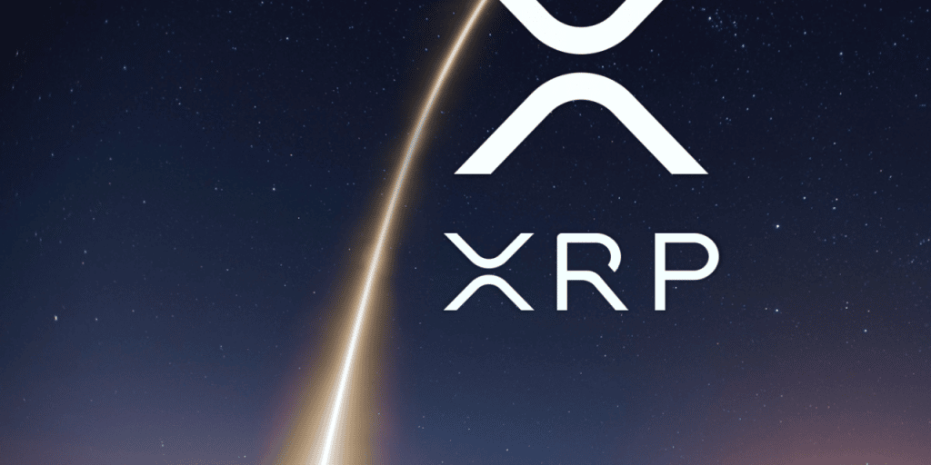 XRP Bounces Back